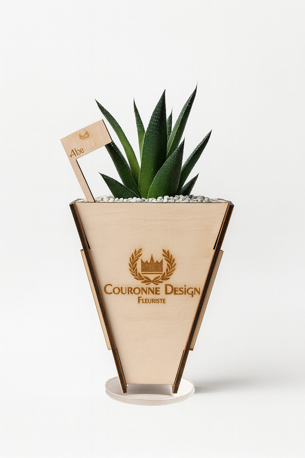 Aloe Vera Gasteria