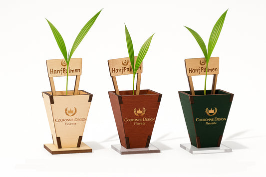 Baby Palme
