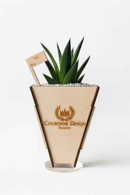 Aloe Vera Gasteria