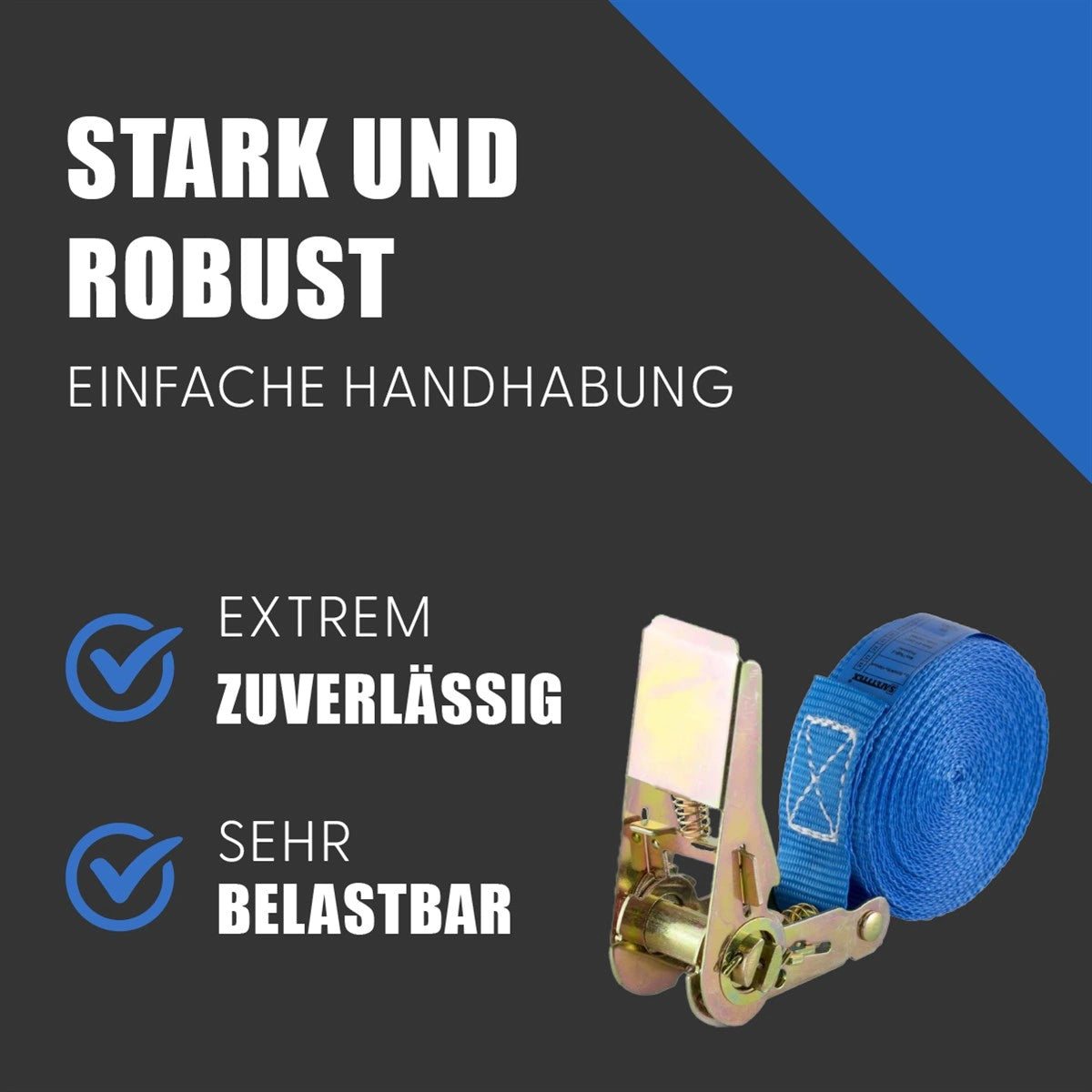 Spanngurt 800 kg 25 mm x 4 m einteilig blau